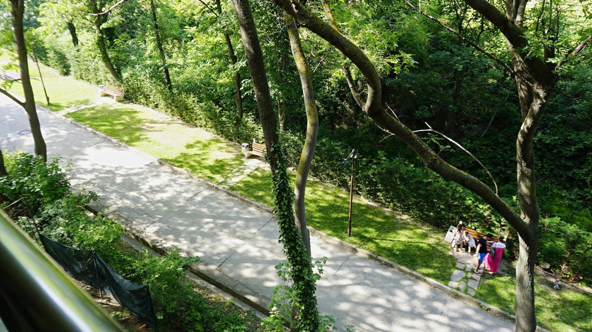 Бяла Клиф Форест - Byala Cliff Forest Extérieur photo